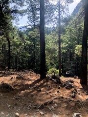 Wanderidyll Samaria-Schlucht auf Kreta