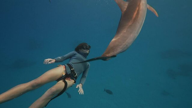 Experienced woman freediver swimming deep underwater with dolphins in blue ocean water, amazing snorkeling adventure. Armature diver woman diving in red sea with bottlenose dolphins. Travel concept
