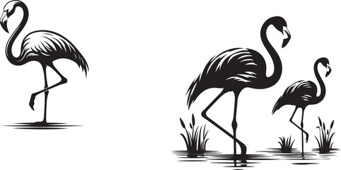 flamingo silhouette vector illustration