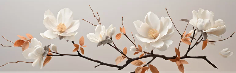 Fotobehang An elegant and contemporary floral arrangement featuring white magnolia blossoms in full bloom, set against a muted background. © Avalga