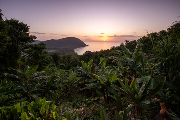 Fototapeta na wymiar Guadeloupe, a Caribbean island in the French Antilles. Landscape and view from a mountain of the Grande Anse beach on Basse-Terre. A secluded bay, lots of nature and mangroves, at sunrise.