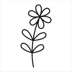Flower with leaves. Natural vector graphic icon