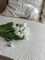 Fototapeta na wymiar A large bouquet of white tulips is lying on the bed, on white bed linen. Birthday surprise, Valentine's Day, International Women's Day
