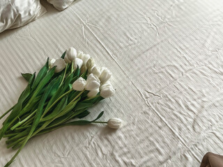 A large bouquet of white tulips is lying on the bed, on white bed linen. Birthday surprise, Valentine's Day, International Women's Day