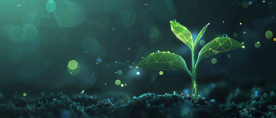 green sprout, on a dark background - obrazy, fototapety, plakaty