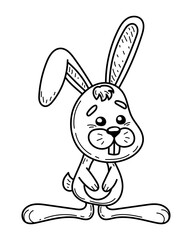 Coloring book cute bunny sketch. Animal eared hare. Hand drawn vector illustration.