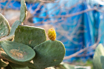 Beautiful views, nature landscape, background.