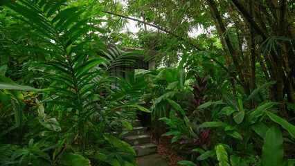 Rich green tropical garden surrounds secluded luxury villa. Stone path leads to hidden house among exotic plants. Private upscale home integrates with nature for serene lifestyle, eco-friendly living.