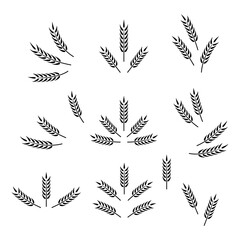 Fototapeta na wymiar Flat Vector Agriculture Wheat Icon Set Isolated. Organic Wheat and Rice Ears. Design Template for Bread, Beer Logo, Packaging, Labels for Farming, Organic Produce, and Food Industry Concept