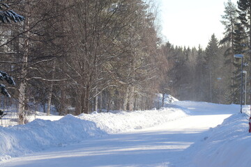 winter landscape with snow