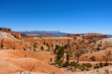 Fototapeta na wymiar Views from Queens Garden Trail at Bryce Canyon National Park.