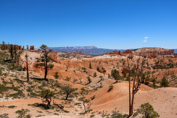 Views from Queens Garden Trail at Bryce Canyon National Park.