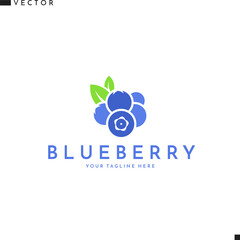 Blueberry with leaves. Abstract logo 