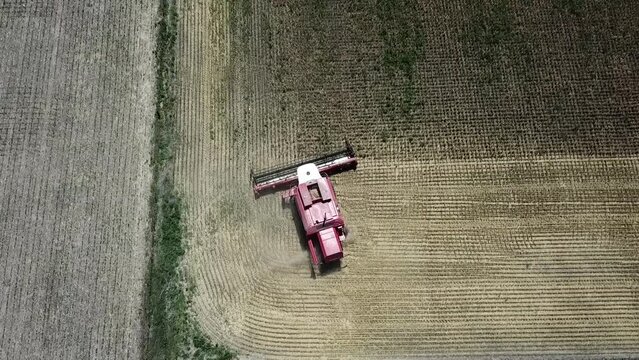 COSECHADORA EN EL CAMPO