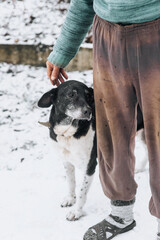 An elderly homeless man caresses his hand on the head of an old sad hungry mongrel dog with scars...