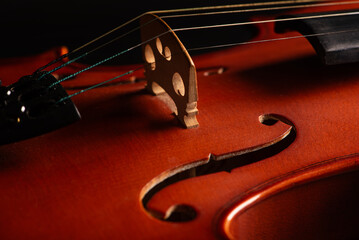 Violin, wonderful details of a beautiful violin, dark background, selective focus.