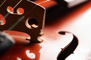 Violin, wonderful details of a beautiful violin, dark background, selective focus.