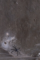 A web with a spider on a brick wall