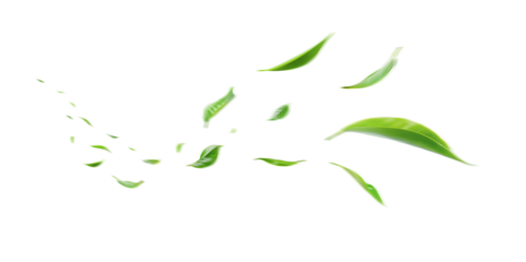 Green Floating Leaves Flying Leaves Green Leaf Dancing, Air Purifier Atmosphere Simple Main Picture.