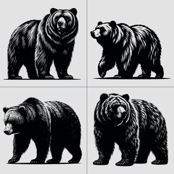 Grizzly Bear Vector , wildlife vector , mountain , tree vector file