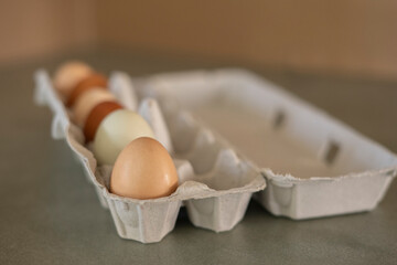 Farm-fresh organic eggs in carton
