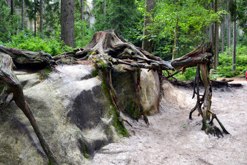 Rock city in Adrspach, Czech Republic. Sandstone rocks formation in Adrspach-Teplice Rocks Nature...