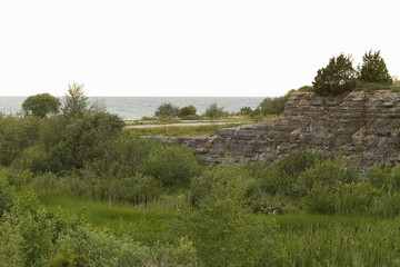 Rock wall overgrown with climbing plants with view on the sea