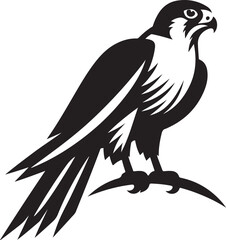 Falcon silhouette vector illustration