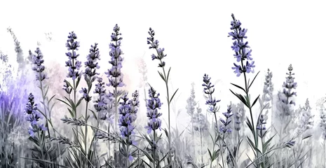 Fototapeten wild lavender flowers in the style of digital airbrushing, realistic yet stylized, digitally enhanced, 32k uhd, detailed crosshatching white background © caseyhumming