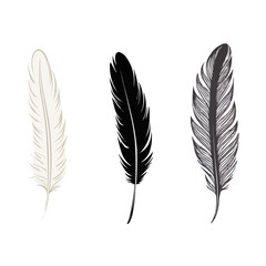 Feather   Minimalist and Simple set of 3 Line White background - Vector illustration