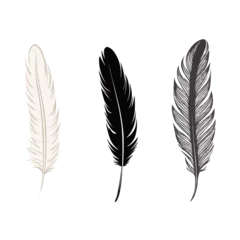 Stickers meubles Plumes Feather   Minimalist and Simple set of 3 Line White background - Vector illustration