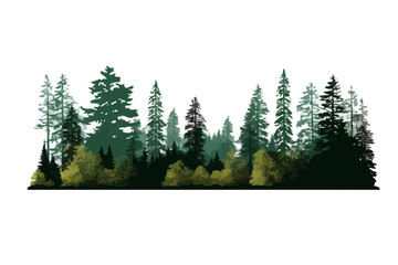 Green Forest landscape silhouettes panorama with pines, fir trees, cedars. Editable vector illustration with isolated stand alone trees for your own design