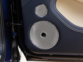 high-quality audio system in the passenger door in a luxury coupe car with leather trim