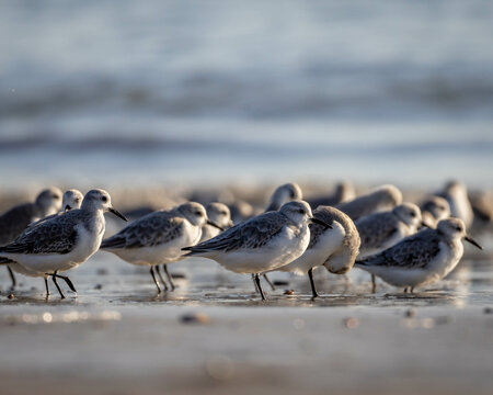 Exploring the beaches around Huntington Beach and Newport Beach in California with the camera.