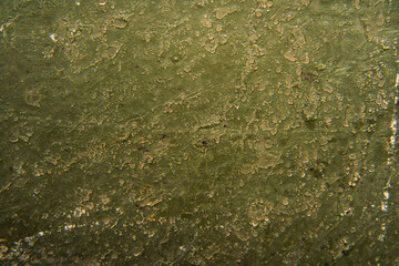 A detailed close-up view of a dirty and grungy surface, showing the texture and layers of grime accumulated.