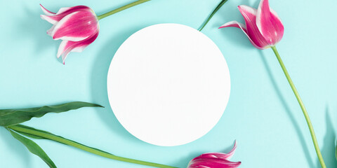 Flowers composition romantic. Pink flowers tulips on pastel blue background with white empty circle...