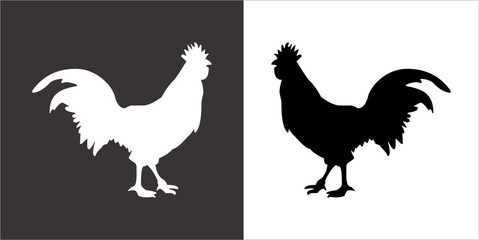 Illustration vector graphics of cock icon