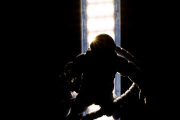 Astronauta contra luz. © cristiane