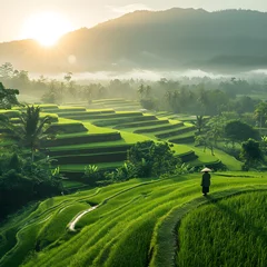 Poster Terraced rice fields in the mountains. Farmers view crops and view of the sun in the morning © muhammad
