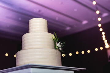 A wedding cake is the traditional cake served at wedding receptions following dinner