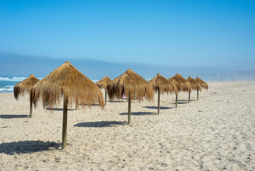 coiron umbrellas of el tabo beach, valparaiso, Chile