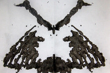 Black paints in the Rorschach Test draw interesting and bizarre shapes and lines on a white background	
