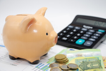 Piggy bank over finance charts and euro bills