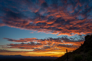 A breathtaking sunset panorama featuring vibrant orange and red clouds over the Tucson mountains with silhouettes of Saguaro cacti.