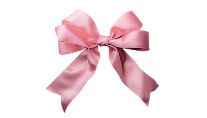 pink ribbon coquette fashion isolated