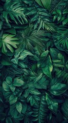 Tropical leaves texture,Abstract nature leaf green texture background.vintage dark tone,picture can...