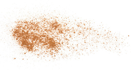 Dry aromatic cinnamon powder isolated on white, top view