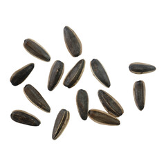 Fresh raw sunflower seeds isolated transparent