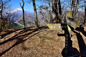 丹沢の檜岳山稜　雨山の登山道より望む富士山
 - obrazy, fototapety, plakaty