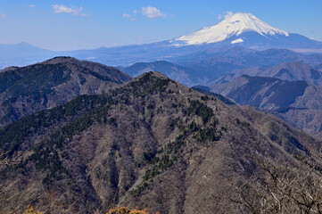 丹沢の鍋割山より望む　富士山と檜岳山稜
